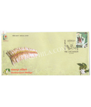 India 2019 Gi Tag Special Cover Of Shankarapura Mallige Was Released On 13th October 2019 Mangaluru Karnataka