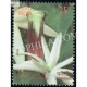 India 2019 Indian Perfumes Jasmine S1 Mnh Single Stamp