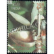 India 2019 Indian Perfumes Jasmine S2 Mnh Single Stamp