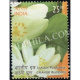 India 2019 Indian Perfumes Orange Blossom S1 Mnh Single Stamp