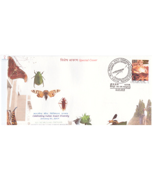 India 2019 Special Cover Of Celebrating Indian Insect Diversity From Bangalore Karnataka