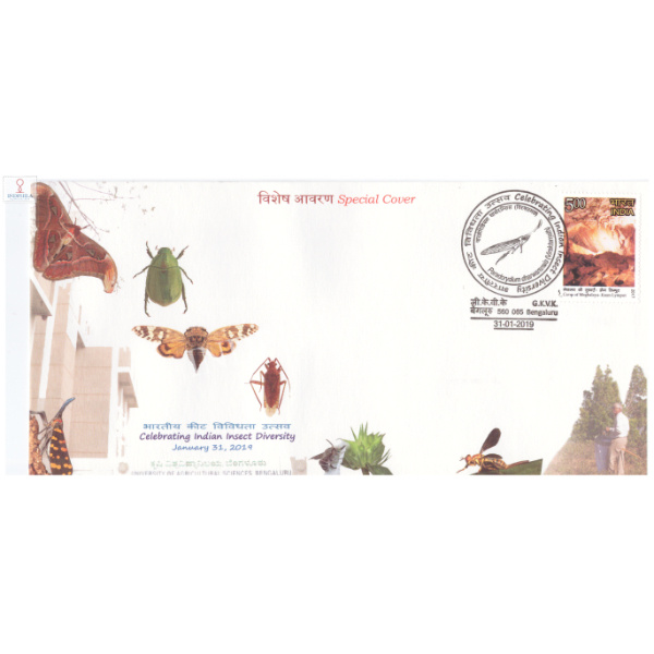 India 2019 Special Cover Of Celebrating Indian Insect Diversity From Bangalore Karnataka