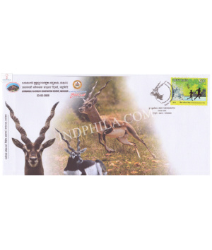 India 2020 Special Cover Of 2020 Tumakurupex Jayamangali Blackbuck Conservation Reserve Madhugiri From Tumakuru Karnataka