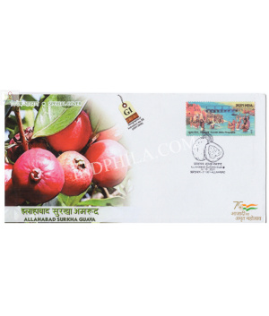 India 2021 Gi Tag Special Cover Of Allahabad Surkha Guava Was Released On 13th October 2021 Allahabad Uttar Pradesh