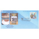 India 2021 Gi Tag Special Cover Of Blue Pottery Of Jaipur Was Released On 18th August 2021 Jaipur