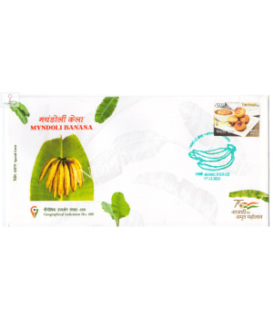 India 2021 Gi Tag Special Cover Of Myndoli Banana Unususal Cover Of Hot Foil Embosed Was Released On 17th December 2021 Panaji Maharashtra