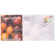 India 2021 Gi Tag Special Cover Of Naga Tree Tomato Was Released On 6th September 2021 Kohima North East