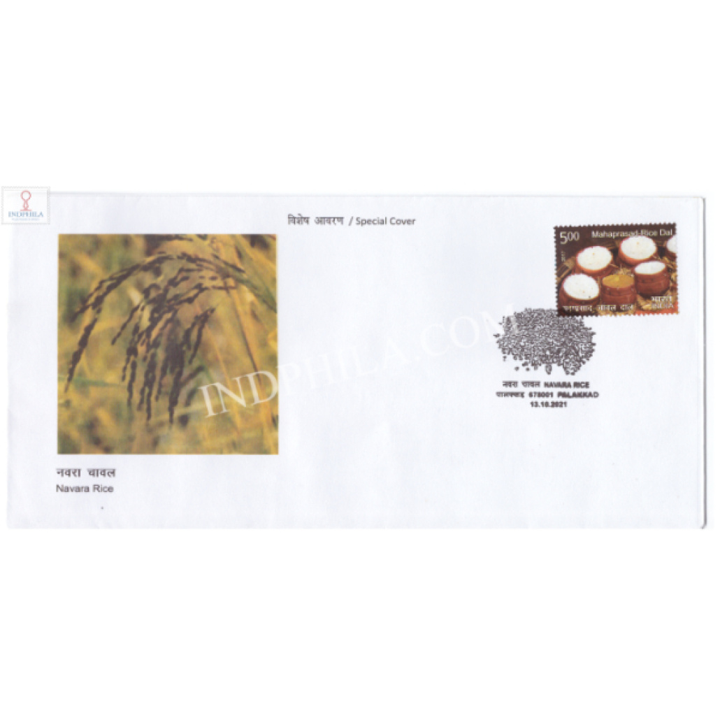Long Rice Gi Tag India 2021 GI Tag Special Cover of Navara Rice was released on 13th ...