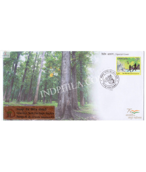 India 2021 Gi Tag Special Cover Of Nilambur Teak Unususal Cover With A Real Pices Of Wood Bar Affixed Was Released On 17th November 2021 Nilambur Kerala