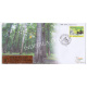 India 2021 Gi Tag Special Cover Of Nilambur Teak Unususal Cover With A Real Pices Of Wood Bar Affixed Was Released On 17th November 2021 Nilambur Kerala
