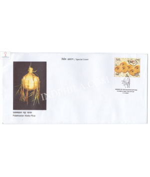 India 2021 Gi Tag Special Cover Of Palakkadan Matta Rice Was Released On 13th October 2021 Palakkad Kerala