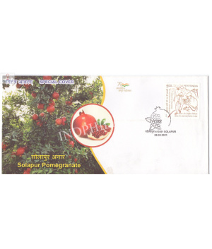 India 2021 Gi Tag Special Cover Of Solapur Pomegranate Was Released On 26th August 2021 Maharashtra