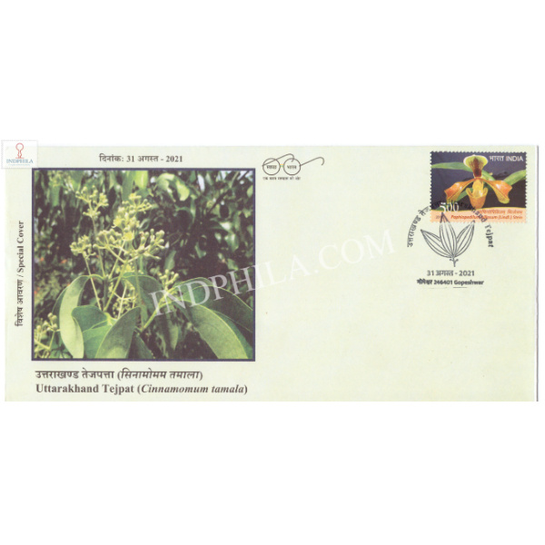 India 2021 Gi Tag Special Cover Of Uttarakhand Tejpat Was Released On 31st August 2021 Gopeshwar Uttarakhand