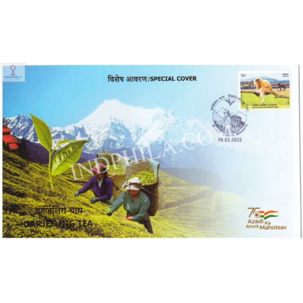 India 2022 Gi Tag Special Cover Of Darjeeling Tea Was Released On 8th March 2022 Kolkata West Bengal
