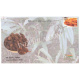 India 2022 Gi Tag Special Cover Of Large Cardamom Sikkim Was Released On 28th February 2022 Siliguri West Bengal