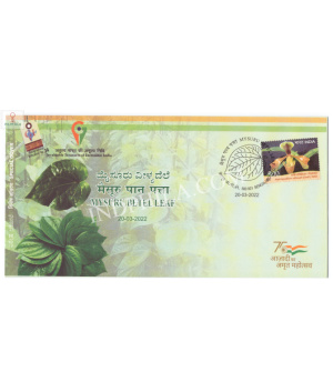 India 2022 Gi Tag Special Cover Of Mysuru Betel Leaf Was Released On 20th March 2022 Bengaluru Karnataka