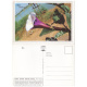 Purple Datura Picture Post Card
