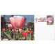 India 2012 Special Cover Of Tulip Rose Garden 2012 Srinagar