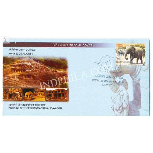 India 2014 Special Cover Of Odipex 2014 Ancient Site Of Khandagiri And Udayagiri With Elephant Cancellation