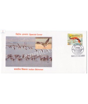 India 2016 Special Cover Of Indian Skimmer 2016 Allahabad