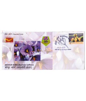 India 2018 Special Cover Of Kashur Kong Kashmir Saffron 2018