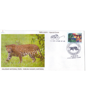 India 2019 Special Cover Of Kalesar National Park Yamuna Nagar Haryana 2019 Ambala