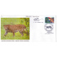India 2019 Special Cover Of Kalesar National Park Yamuna Nagar Haryana 2019 Ambala