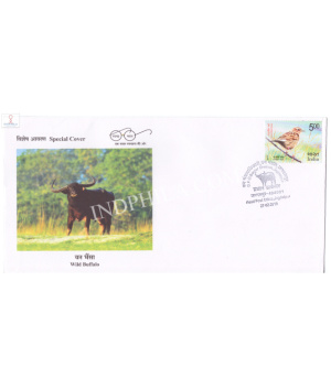 India 2019 Special Cover Of Wild Buffalo 2019 Jagdalpur