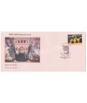 India 2021 Special Cover Of Toorji Ka Jhalra 2021 New Jodhpur