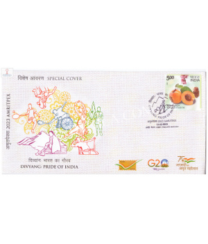 India 2023 Special Cover Of Amritpex 2023 Divyang Pride Of India