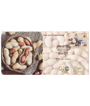 India 2023 Special Cover Of Groundnut 2023 Ahmedabad