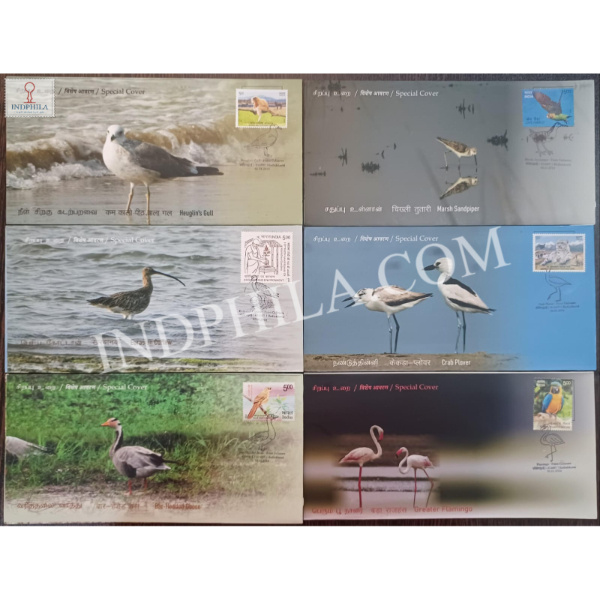 India 2024 Set Of 6 Special Cover From Point Calimere Wildlife Santury Kodiakkarai Crab Plover Bar Headed Goose Eurasian Curlew Greater Flamingo Marsh Sandpiper Heuglins Gull 2024