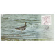 India 2024 Special Cover Of Eurasian Curlew From Point Calimere Wildlife Santury Kodiakkarai 2024