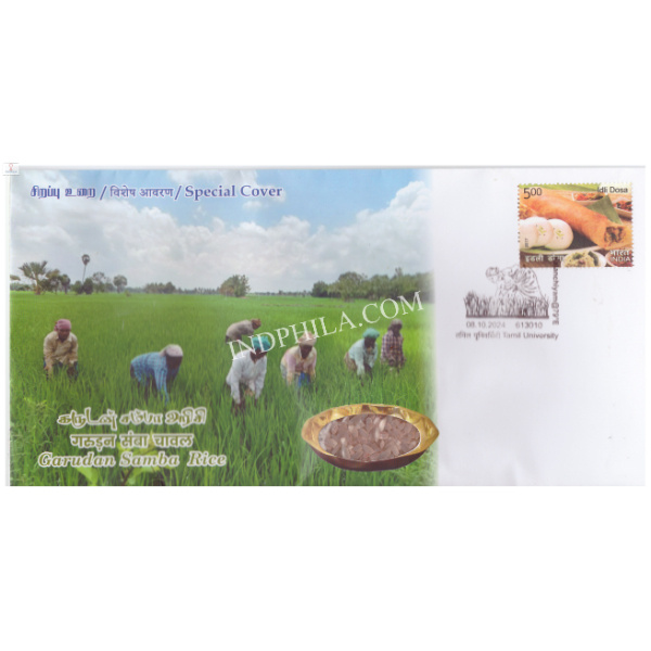 India 2024 Unusual Special Cover of Garudan Samba Rice with a real Rice Affixed on cover was released on 8th October 2024