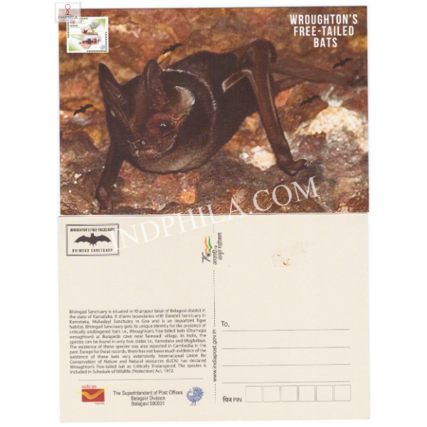 Picture Post Card of Wroughtons Free Tailed Bats
