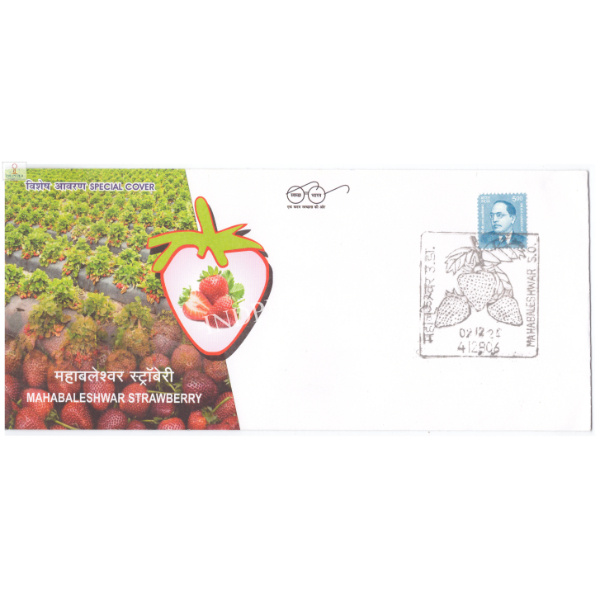 India 2024 Special Cover of Mahabaleshwar Strawberry with Permanent Pictorial Cancellation with Issue date Cancelation
