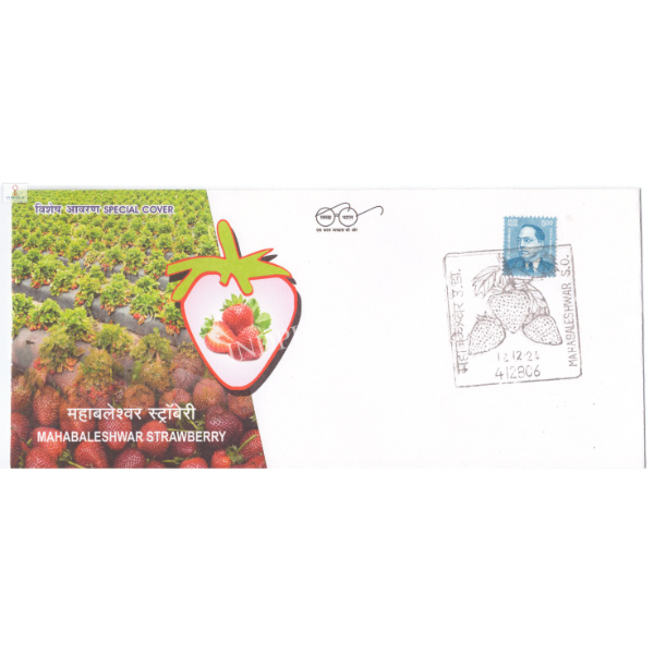India 2024 Special Cover of Mahabaleshwar Strawberrywith Permanent Pictorial Cancellation with fancy date