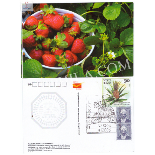 Picture Post Card of Mahabaleshwar Strawberry with Permanent Pictorial Cancellation
