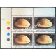 India 1998 International Year of the Ocean Sea Shells of Andaman and Nicobar Island Cypraea Staphylaea MNH BLOCK OF 4 TRAFFIC LIGHT Stamps