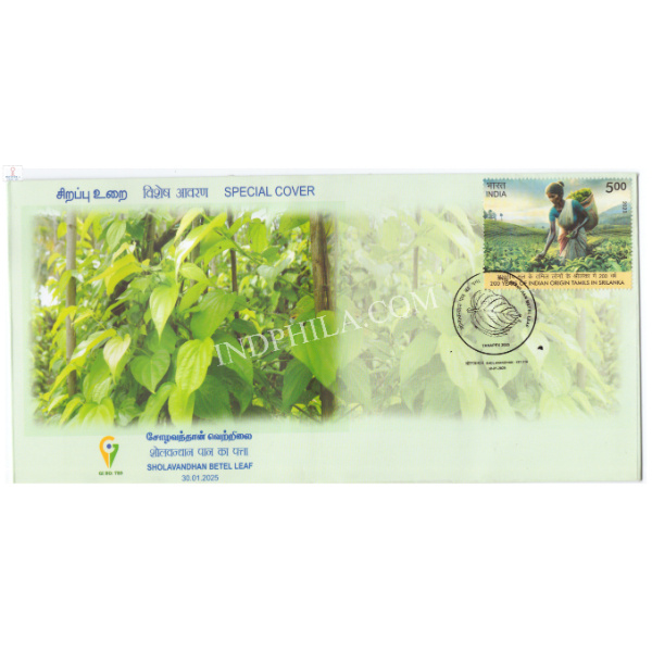 India 2025 GI Tag Special Cover of Tanapex 2025 Sholavandhan Betel Leaf Tamil Nadu