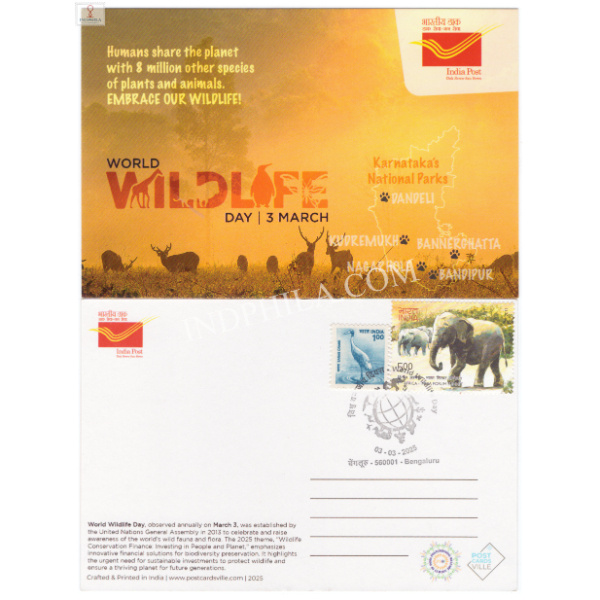 Cancelled Picture Postcard of World Wildlife day