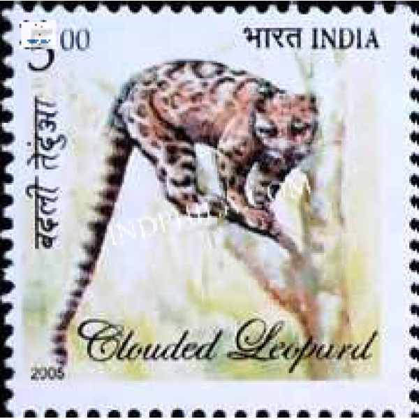 India 2005 Flora and Fauna of North East India Clouded Leopard Mnh Single Stamp