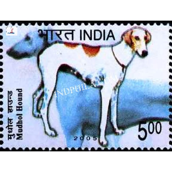 India 2005 India Breeds of Dogs Mudhol Hound Mnh Single Stamp