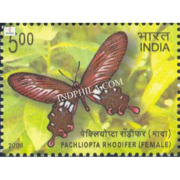India 2008 Endemic Butter Flies of Andaman and Nicobar Islands Pachliopta Rhodifer Male Mnh Single Stamp
