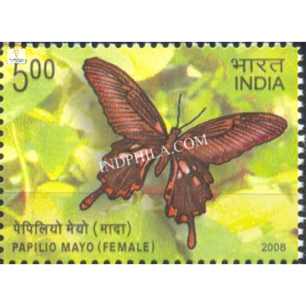 India 2008 Endemic Butter Flies of Andaman and Nicobar Islands Papilio Mayo Female Mnh Single Stamp
