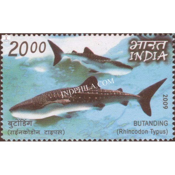India 2009 India Philippines Joint Issue Butanding Rhincodon Typus Mnh Single Stamp
