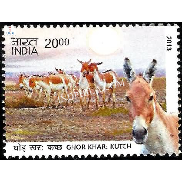 India 2013 Wild Asses of kutchh and Ladakh Ghor Kharkutch Asses Mnh Single Stamp