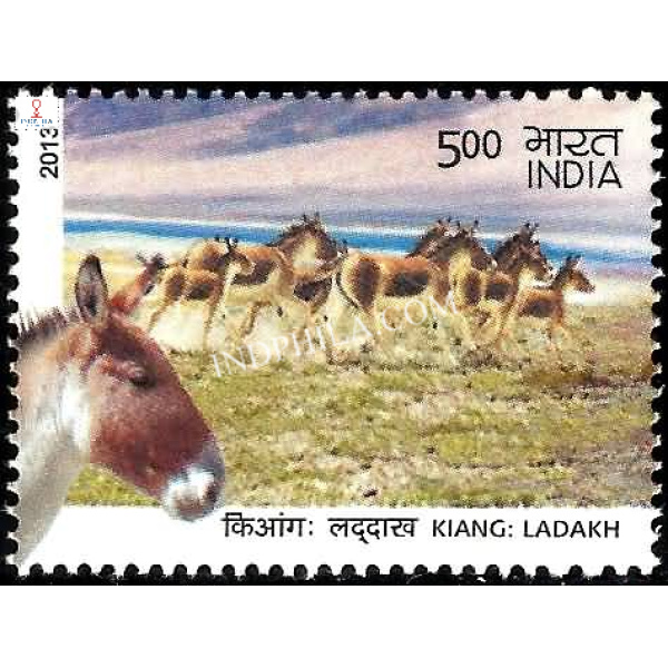 India 2013 Wild Asses of kutchh and Ladakh Ladakh Wild Asses Mnh Single Stamp