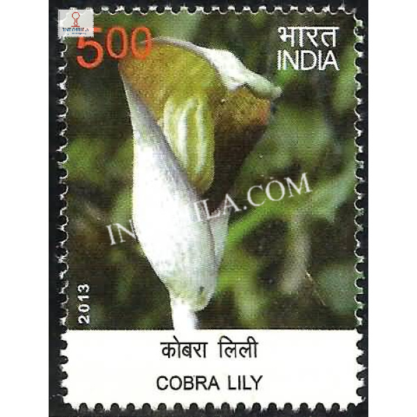 India 2013 Wild Flowers Cobra Lily Mnh Single Stamp
