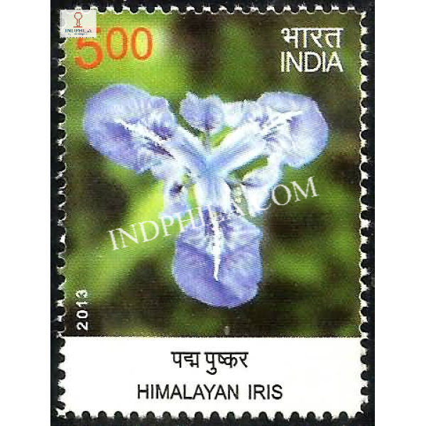 India 2013 Wild Flowers Himalayan Iris Mnh Single Stamp